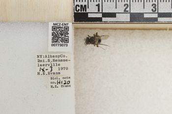 Media type: image;   Entomology 773073 Aspect: Labels